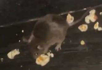 A rat was seen eating popcorn at the ODEON Luxe in Lockmeadow Entertainment Centre in Maidstone