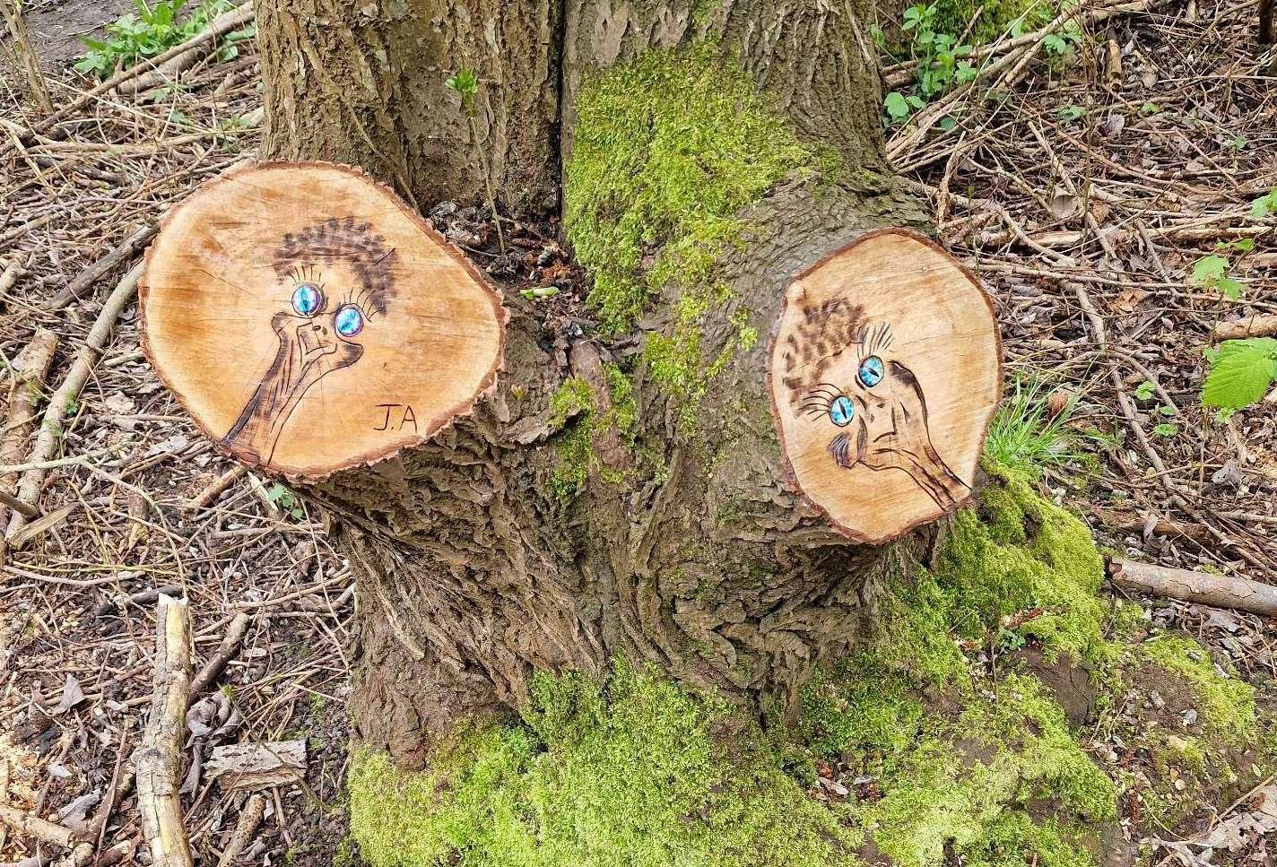 An artist from Ashford has created a variety of artwork in the woods. Picture: Jon Allcorn