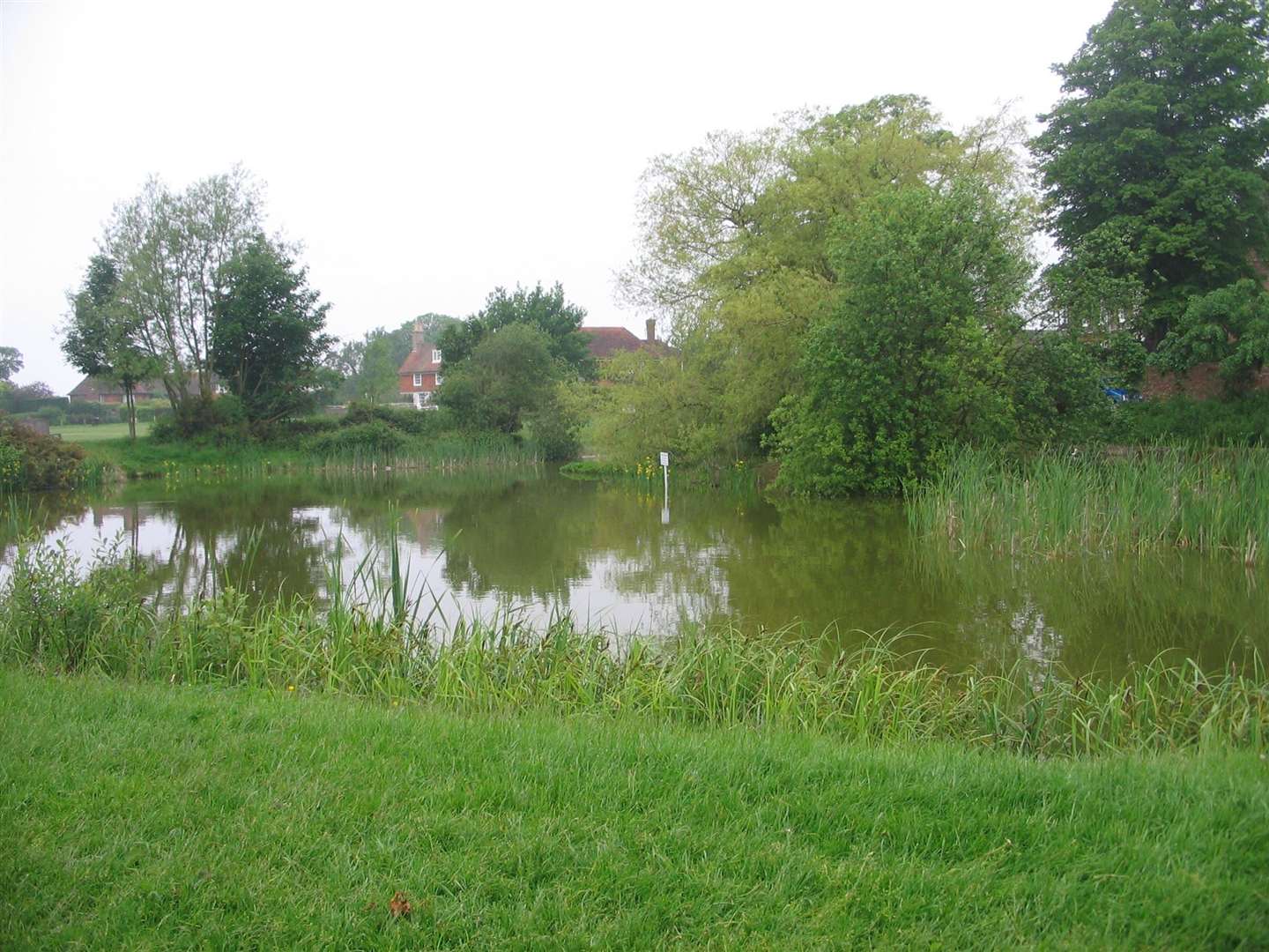 The pond on the green before work started