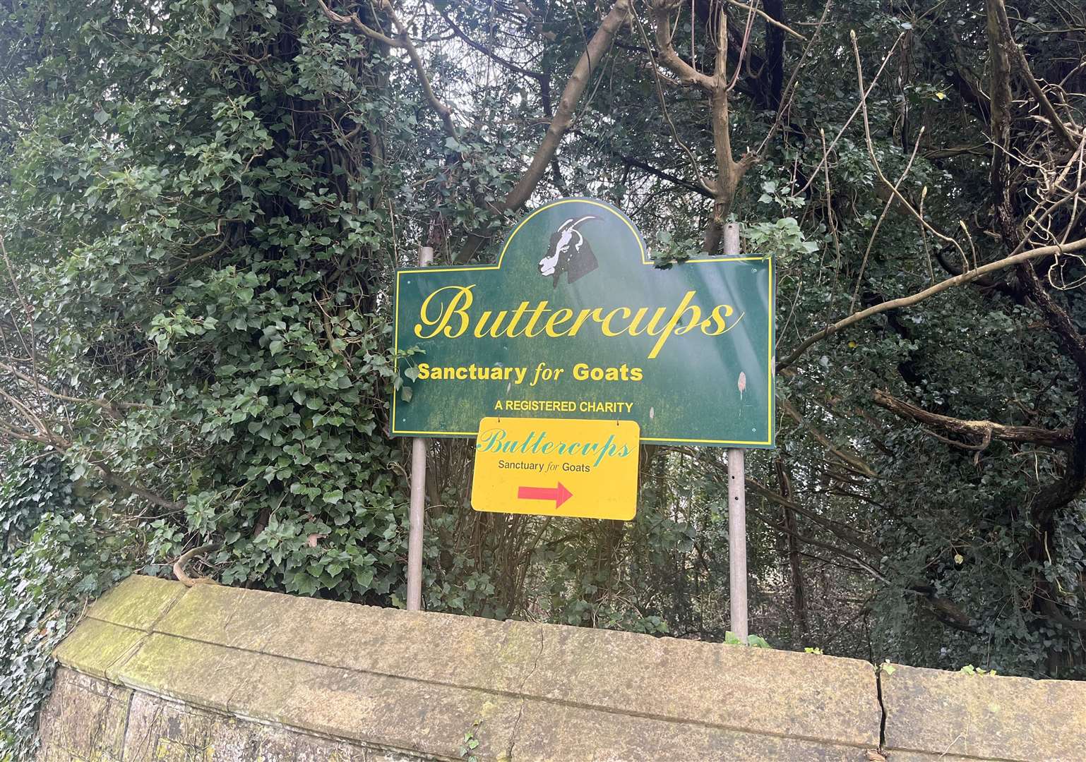 Buttercups Sanctuary for Goats in Wierton Road, Boughton Monchelsea