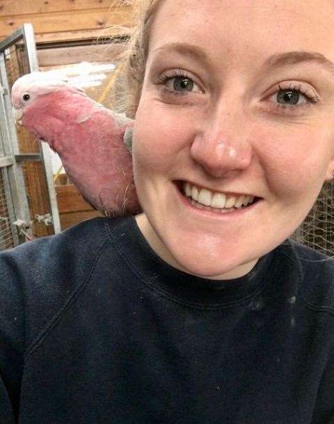 Holly Garson is heartbroken that her pet cockatoo Boo was stolen