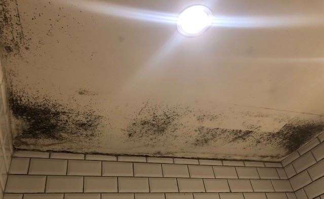 The mould on the ceiling of the gents could definitely do with some attention
