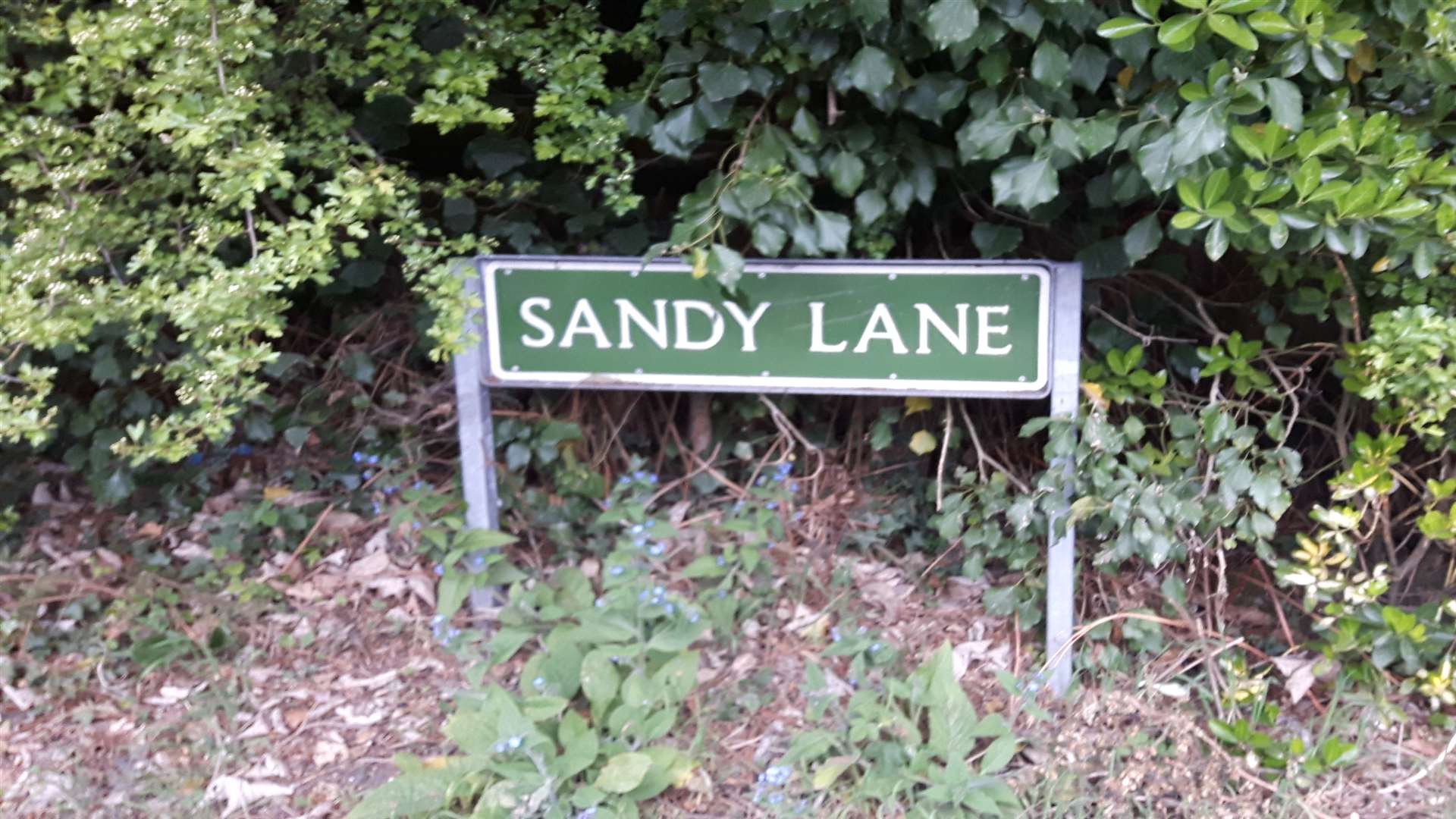 Sandy Lane is a quiet road barely wide enough for one car in some parts