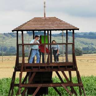 The Maize Maze viewing tower at Haguelands Village. Picture: Jeff Sims