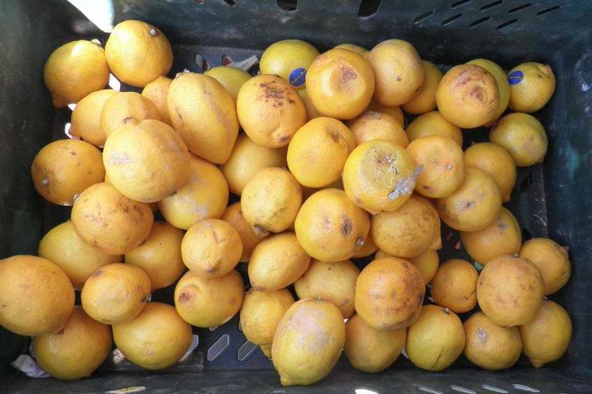 Lemons with visible rot and skin blemishes were on sale at the St Dunstan's Street greengrocer.