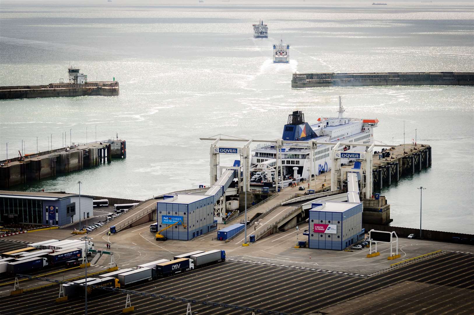 P&O says there are six-and-a-half hour waits for coaches arriving at Calais to board ferries due to the Border Force strike action