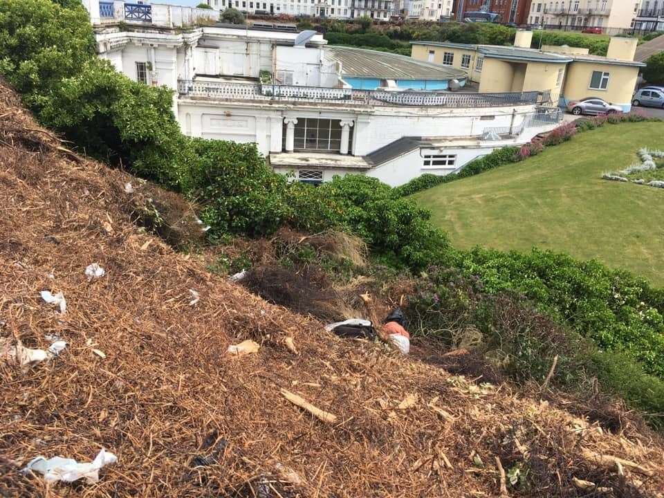 The council says it is necessary to carry out the work due to anti-social behaviour and health risks from dumped rubbish in the overgrowth