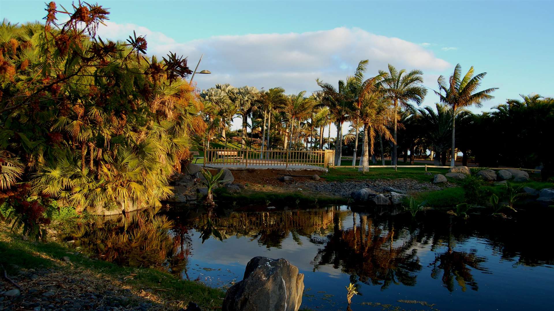 The Palmetum Tenerife