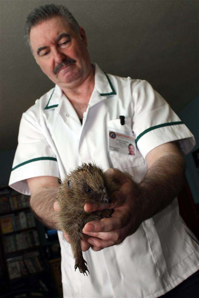 Ray Allibone and a hedgehog he's looking after