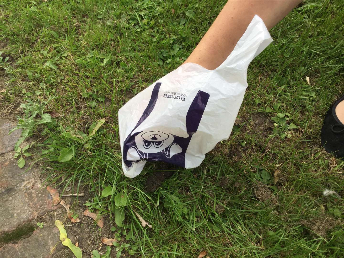 Canterbury City Council is providing free poo bags as part of the crackdown