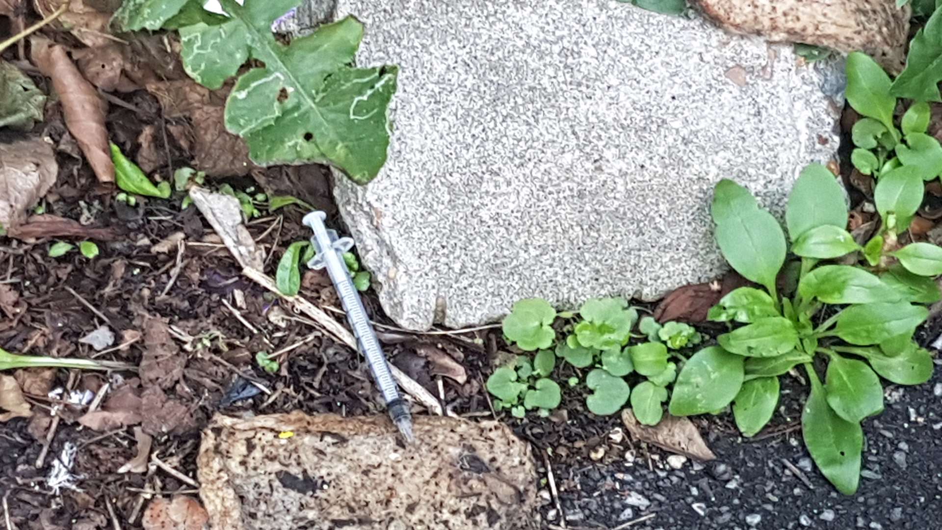 One of three syringes spotted on Sunday afternoon