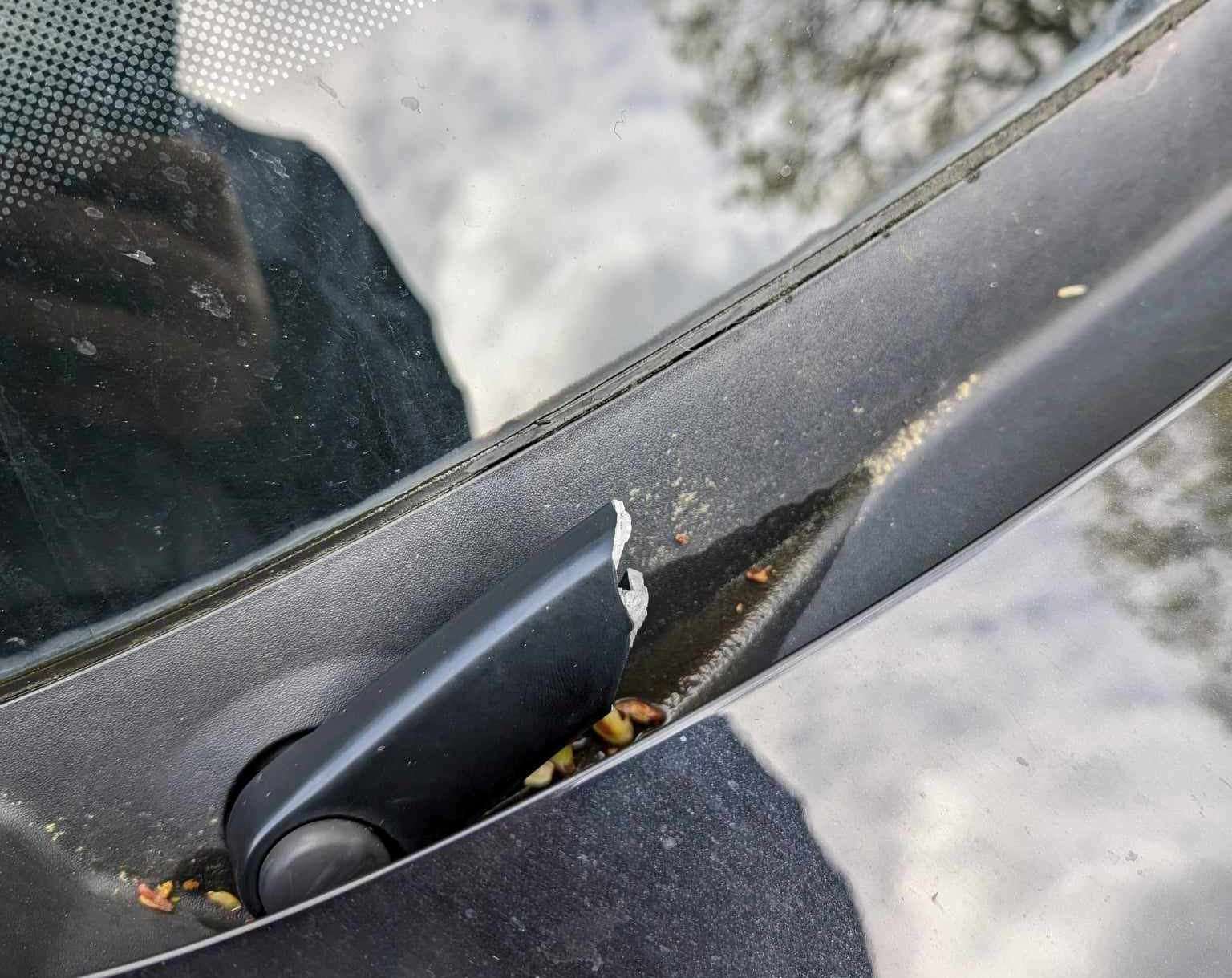 The Volkswagen’s window wipers were also snapped off
