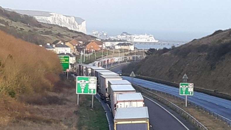 One of the regular queues of lorries heading for Dover, December 19, 2020. Picture: Sam Lennon