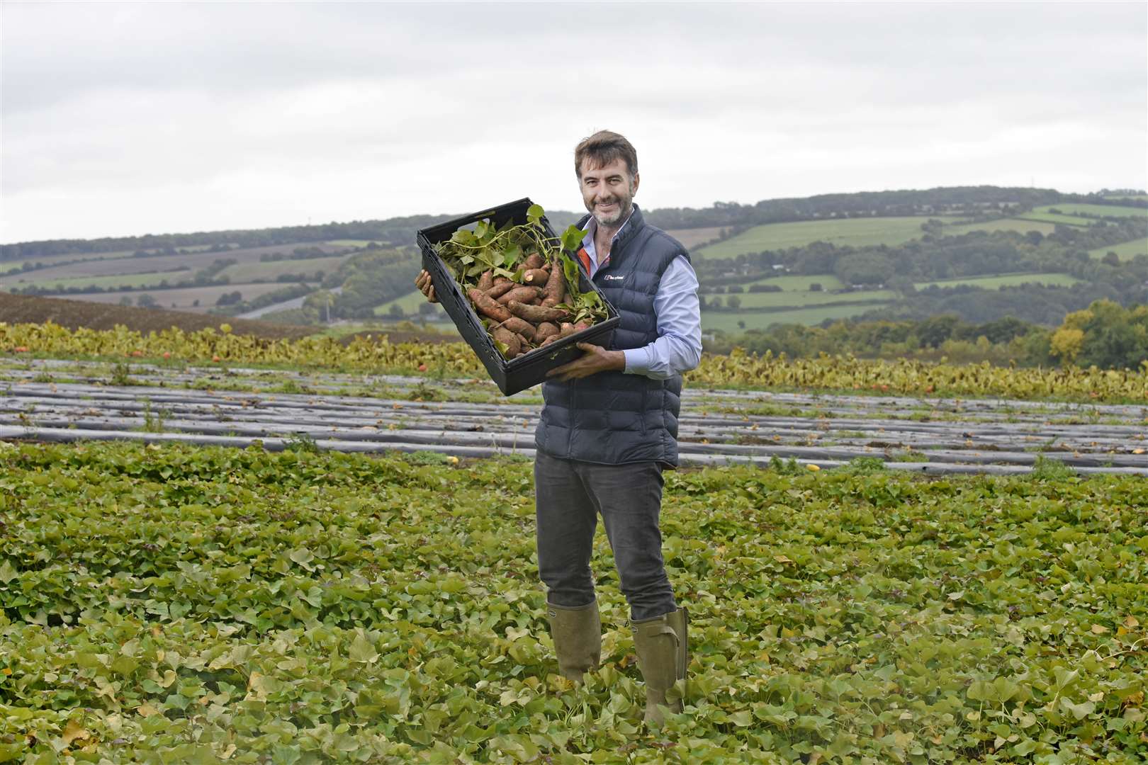 Joe Cottingham from Watts Farm with the UK's first ever homegrown sweet potato crop.