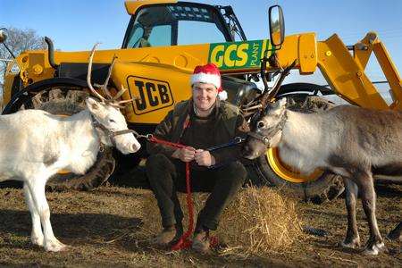 Michael Gallacher with two of the reindeer