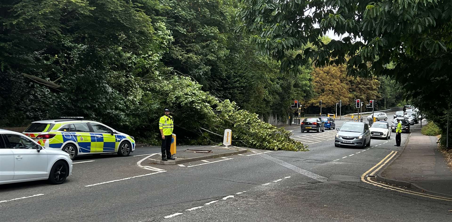 Police are diverting traffic around the tree. Picture: Steve Salter