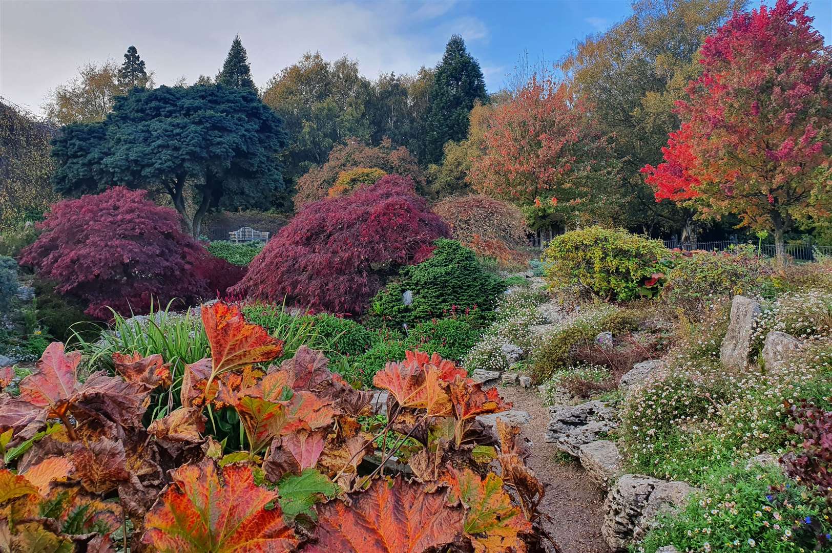 The National Trust would like people to enjoy the change in season. Image: National Trust Images / Nick Dougan.