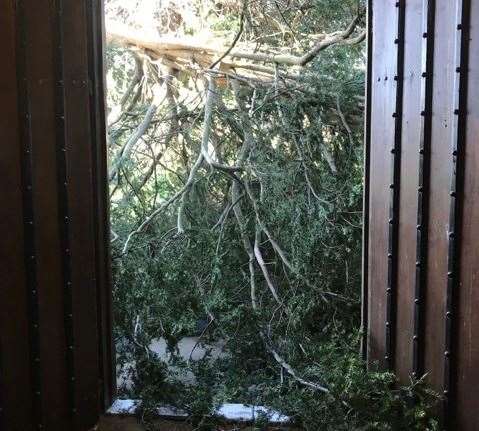 The yew tree branch fell as people were walking into the church (7664550)