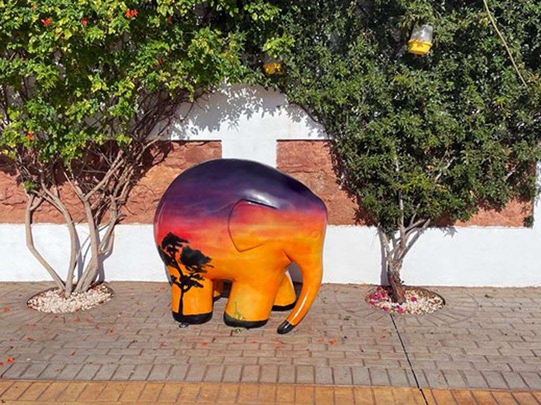 Sunset Plains Elmer is basking in the Spanish sunshine in Andalusia
