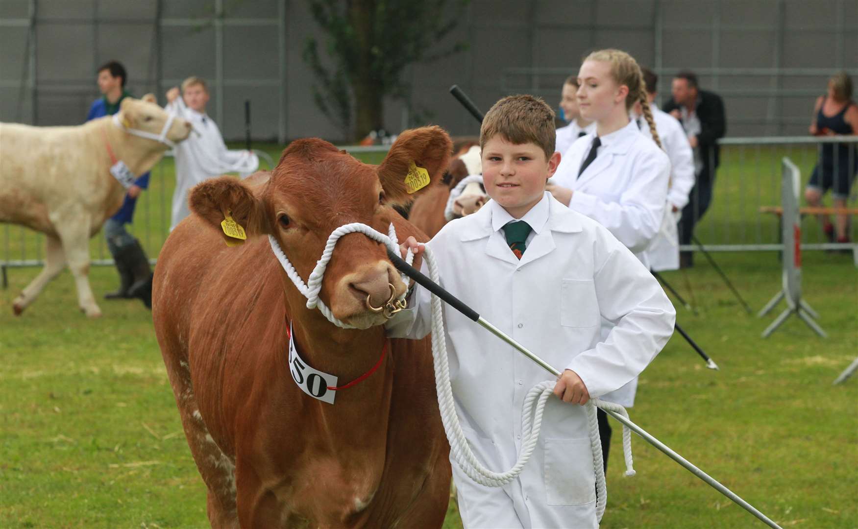 Young farmers at last year's Kent County Show. Picture: John Westhrop.