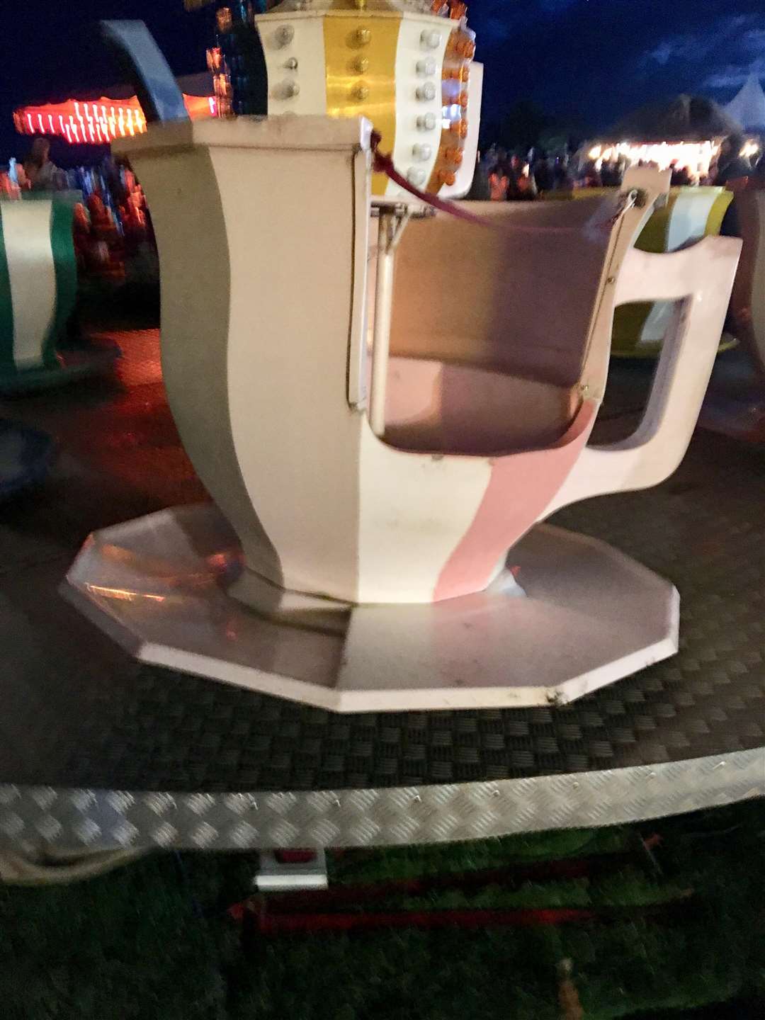 The teacup that came loose from the ride (5189491)