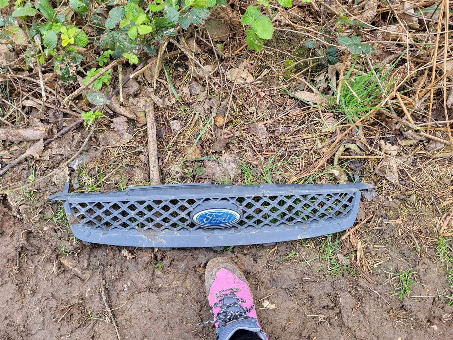 The front of a Ford grille was found in the woodland. Picture: Gill Prince