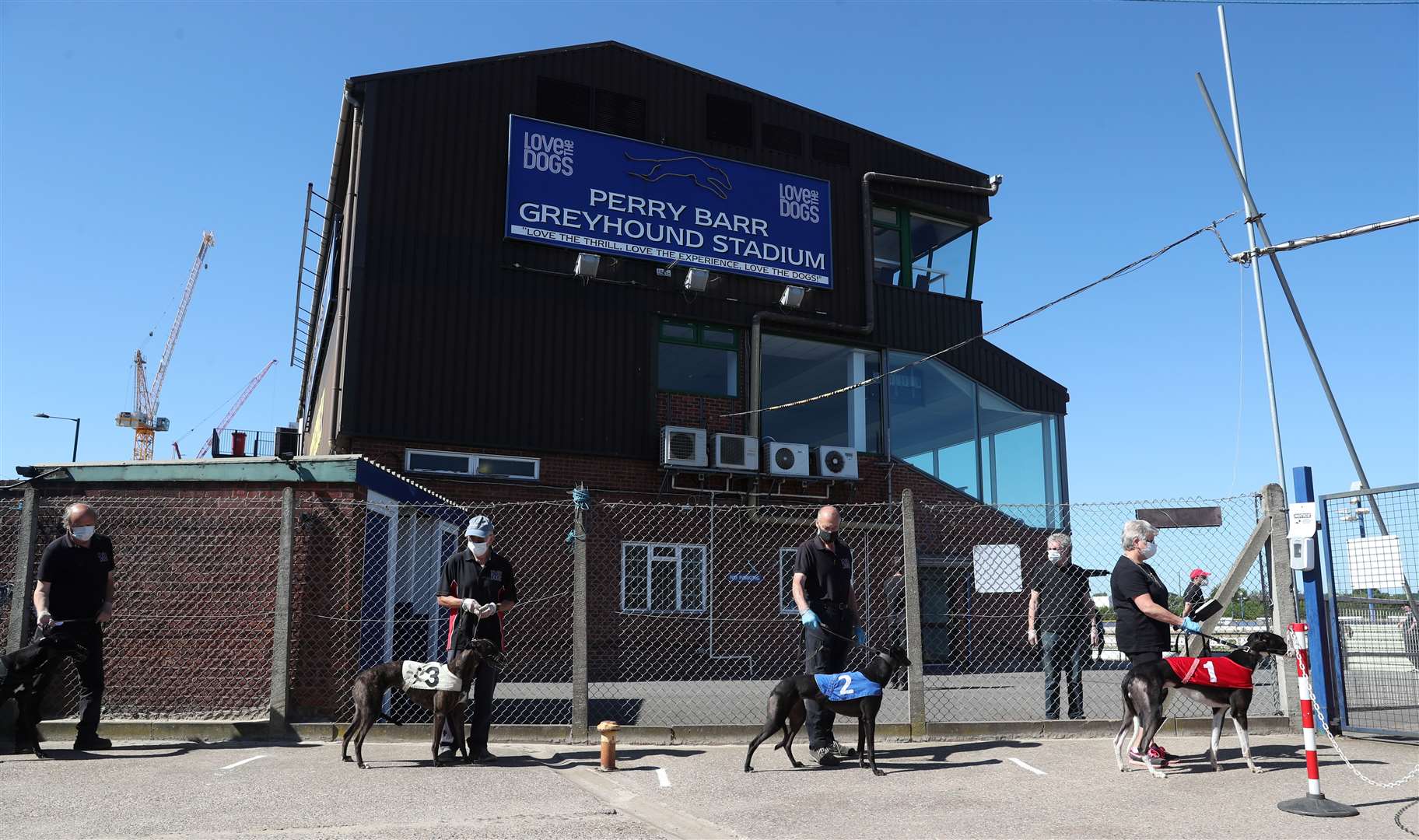 Greyhounds line up to go out for the first race at Perry Barr Greyhound Stadium (David Davies/PA)