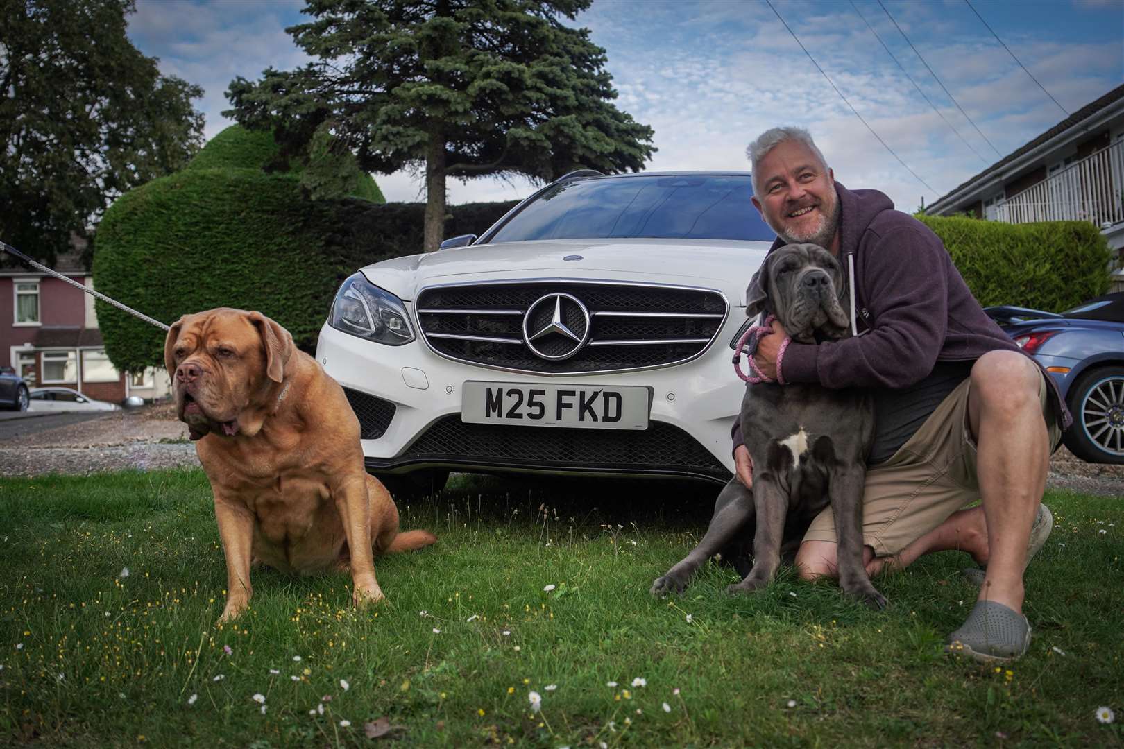 The car, which he uses for his dogs Lola the eight-year-old French Mastiff, left, and Nanna, a seven-month-old Neopolitan Mastiff. Picture: Matt Doyle Photography