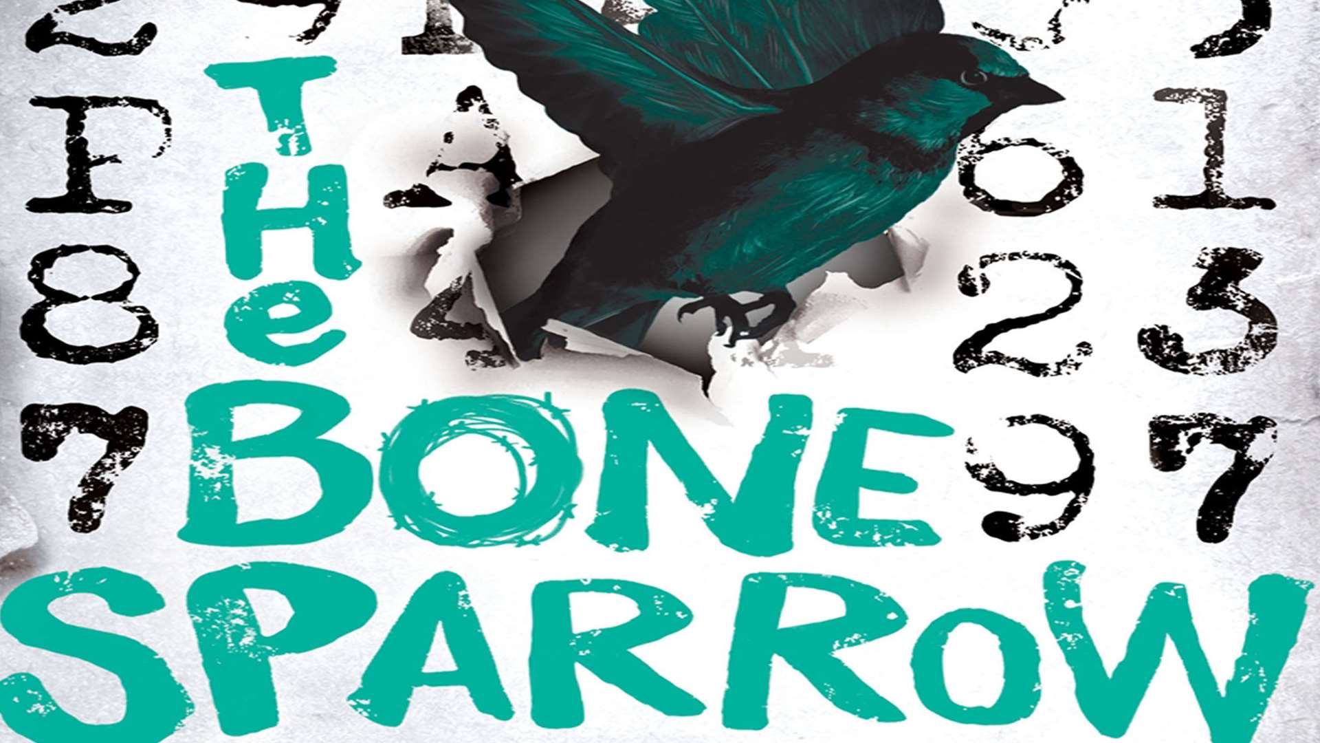 The Bone Sparrow by Zana Fraillon. Picture: PA Photo/Orion Children's Books