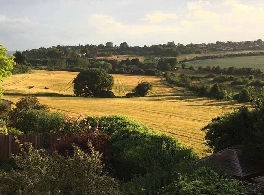 Upnor's Hogmarsh Valley Picture: Lesley Wright