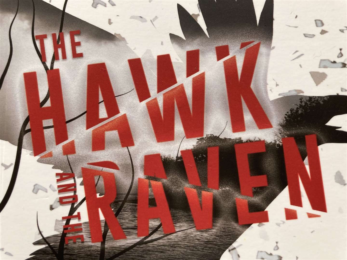The Hawk and the Raven by Sittingbourne author Stacey Dighton