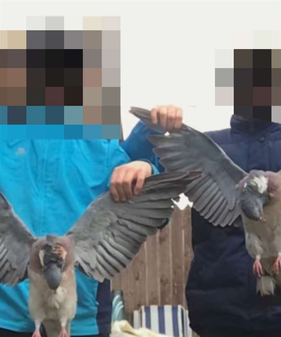 Two young boys pose for a photo with two dead pigeons they have killed using catapults and post it on their TikTok account