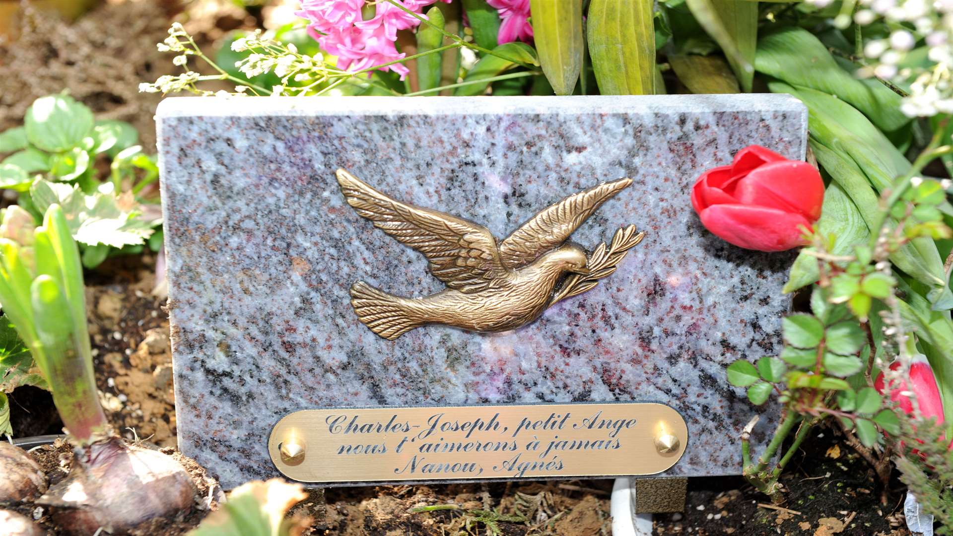 The plaque on Charles-Joseph's grave, which reads Charles-Joseph, little angel, we will love you forever