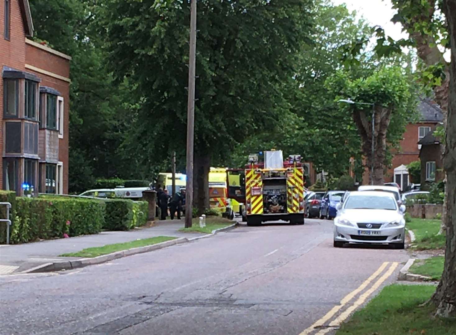 Emergency services at the scene in Oaks Road. Photo: Louisa Peachey