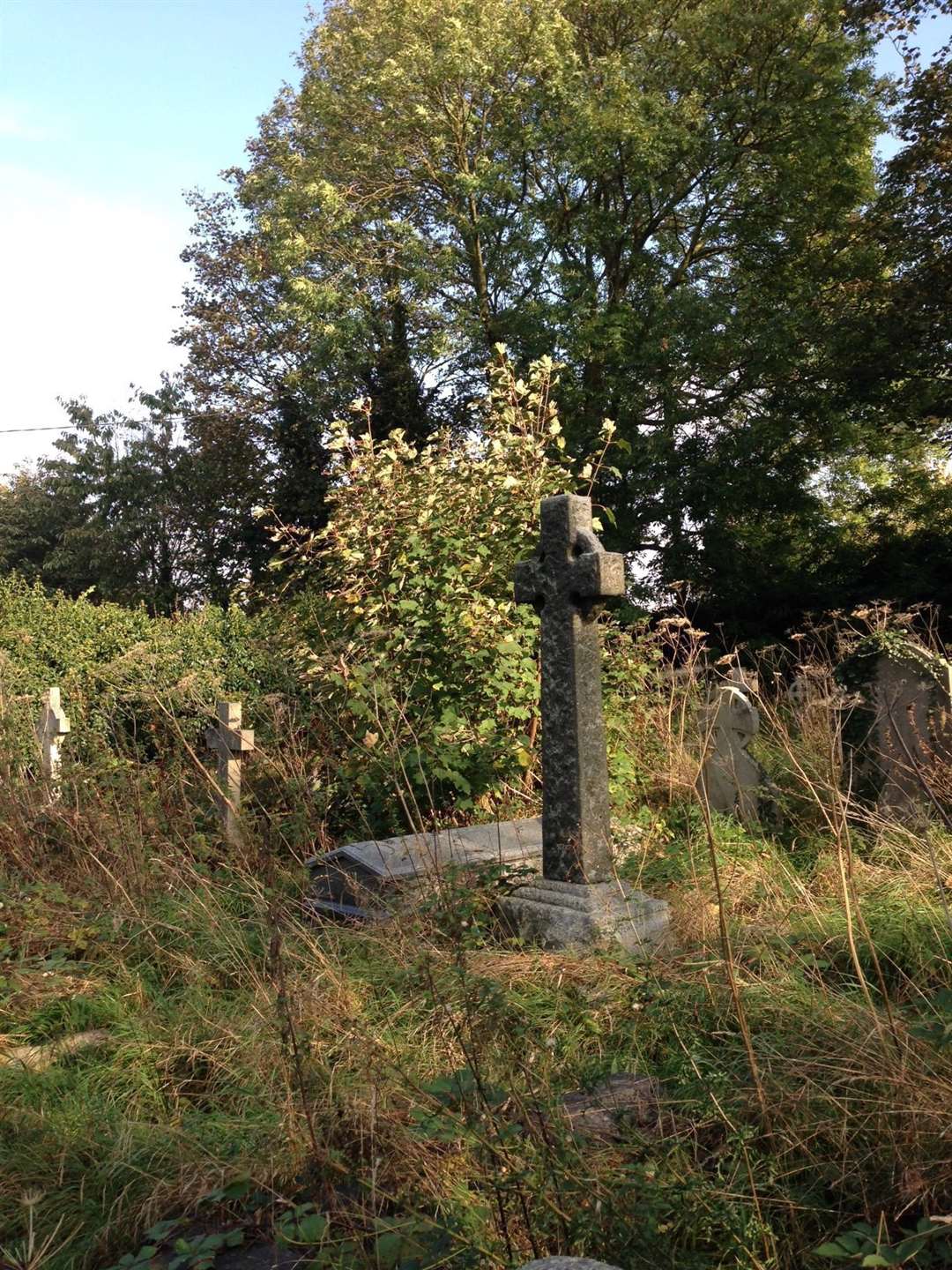 The overgrown cemetery will be transformed