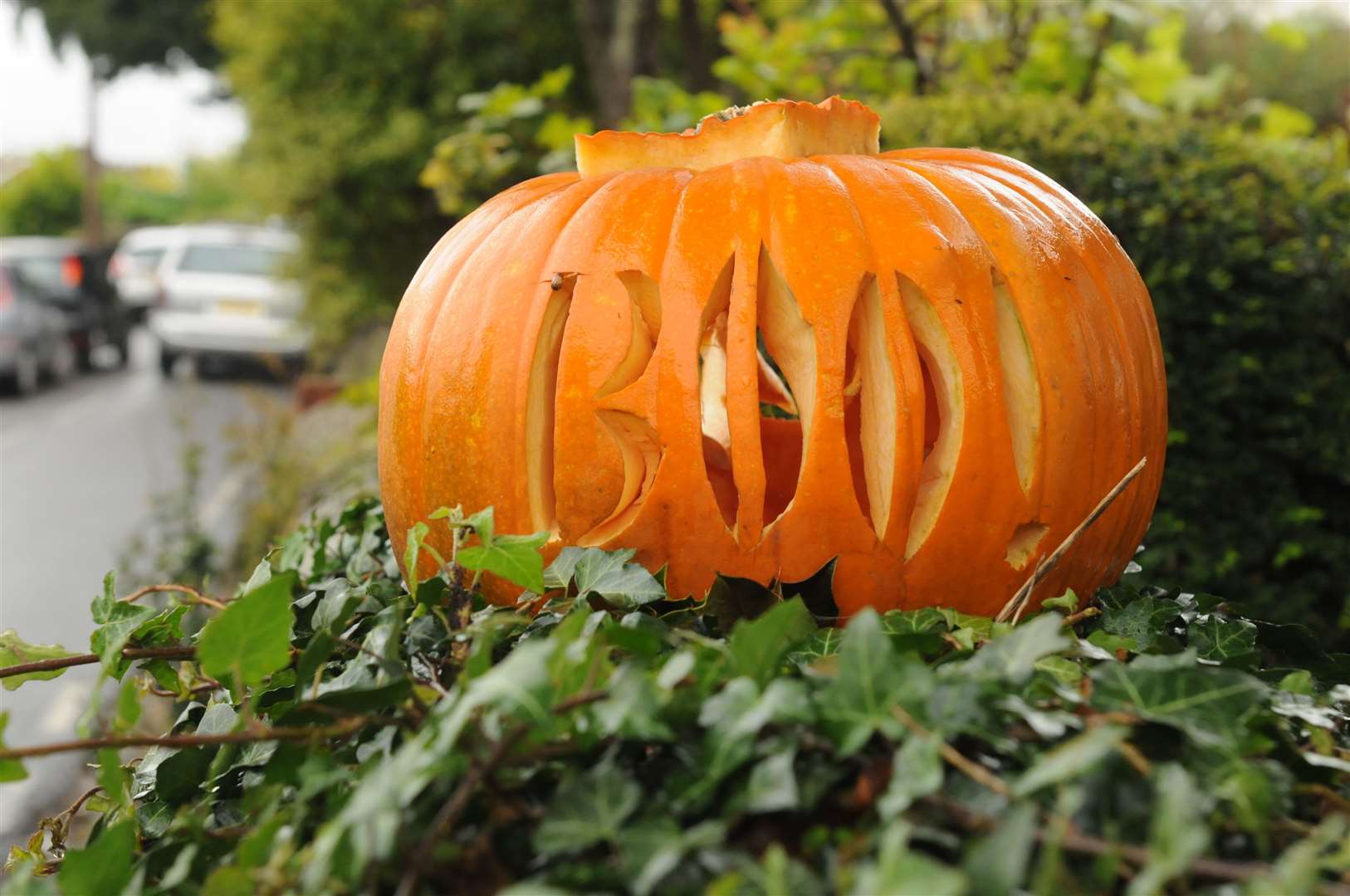 Placing the pumpkin on a damp surface or exposing it to the elements might introduce damp or mould
