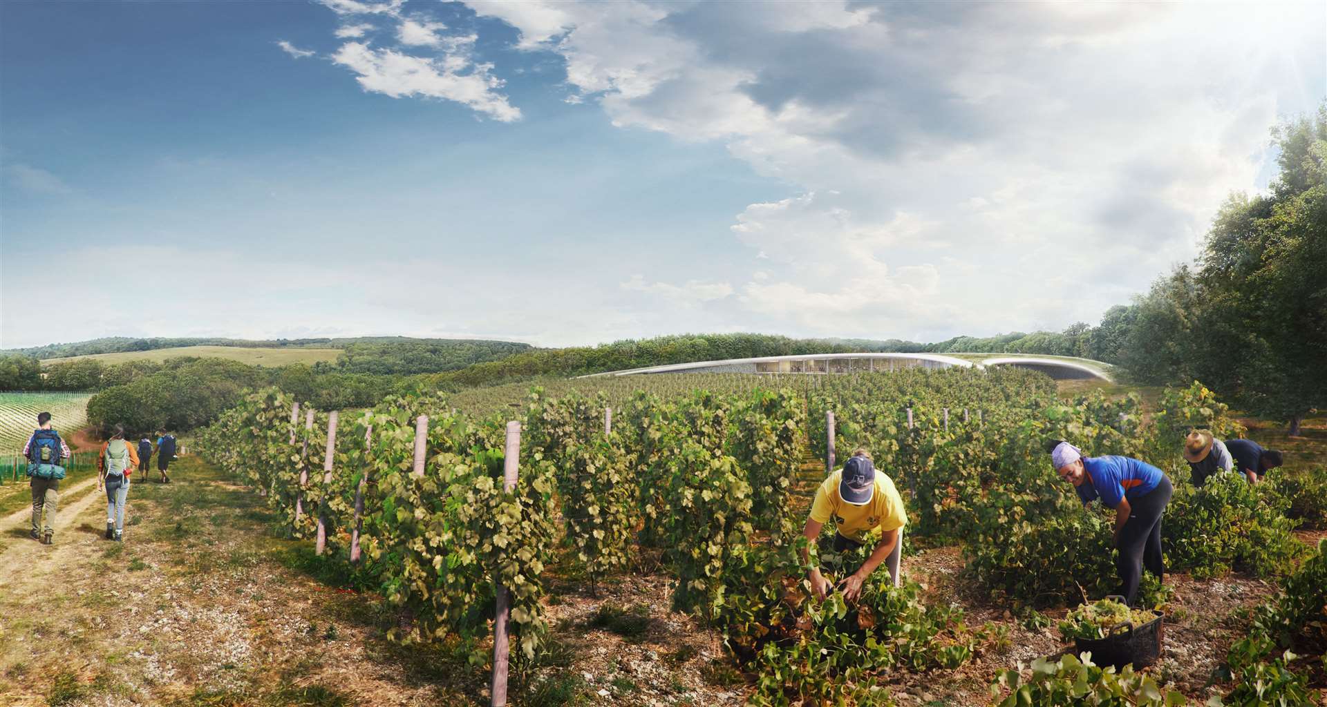 An artist's impression of the vineyard in Cuxton which would include parts of Luddesdown