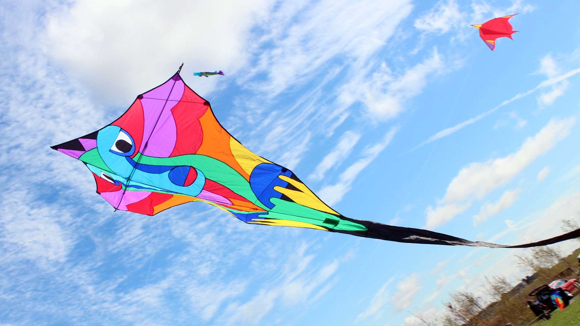 Fly your kite as high in the sky at Sellindge this weekend.