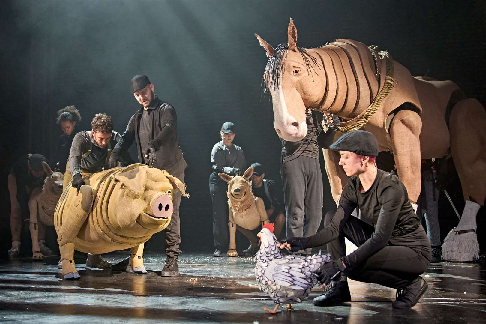The characters of Animal Farm will come alive at the Marlowe Theatre. Picture: Manuel Harlen