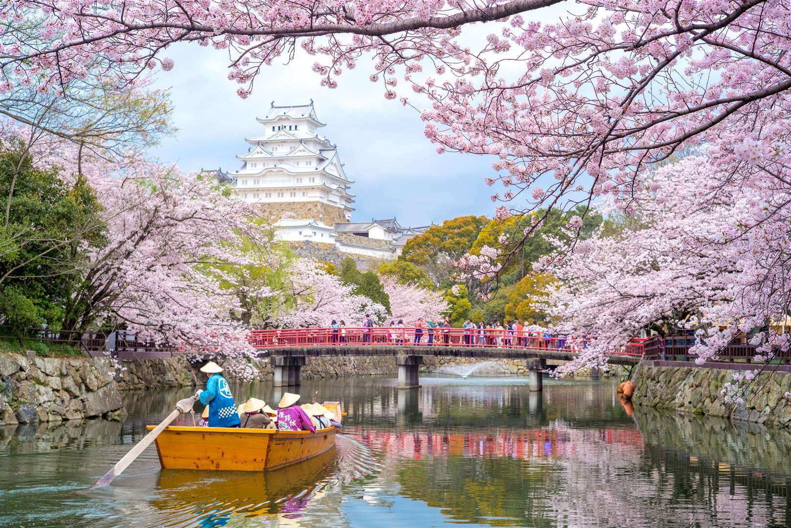 Hanami in Japan celebrates the cherry blossom and the arrival of spring. Image: Stock photo.