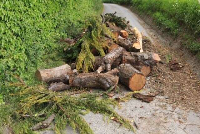 Logs and branches have also been left for the council to clear up. Picture: Mike Mahoney