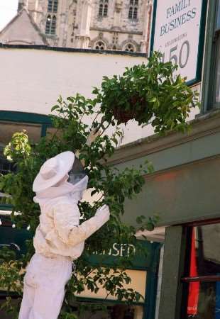 Bee keeper Simon Reed assesses how to capture the swarm of honey bees in Guildhall Street, Canterbury. Picture: Gerry Warren