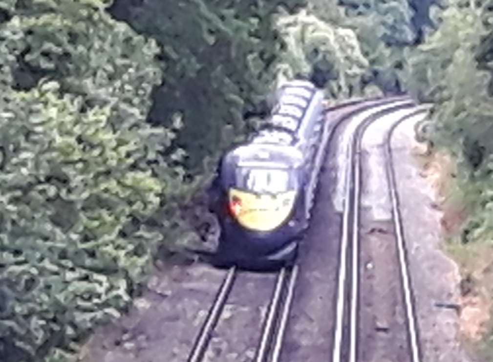 A train has hit a tree on the tracks at Herne Bay
