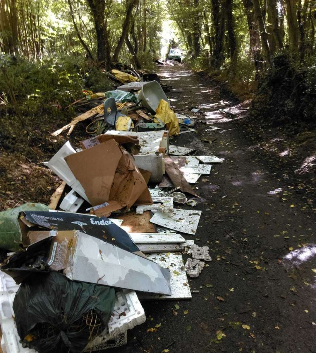 Rubbish fly-tipped by Clatworthy along School Lane in Fawkham
