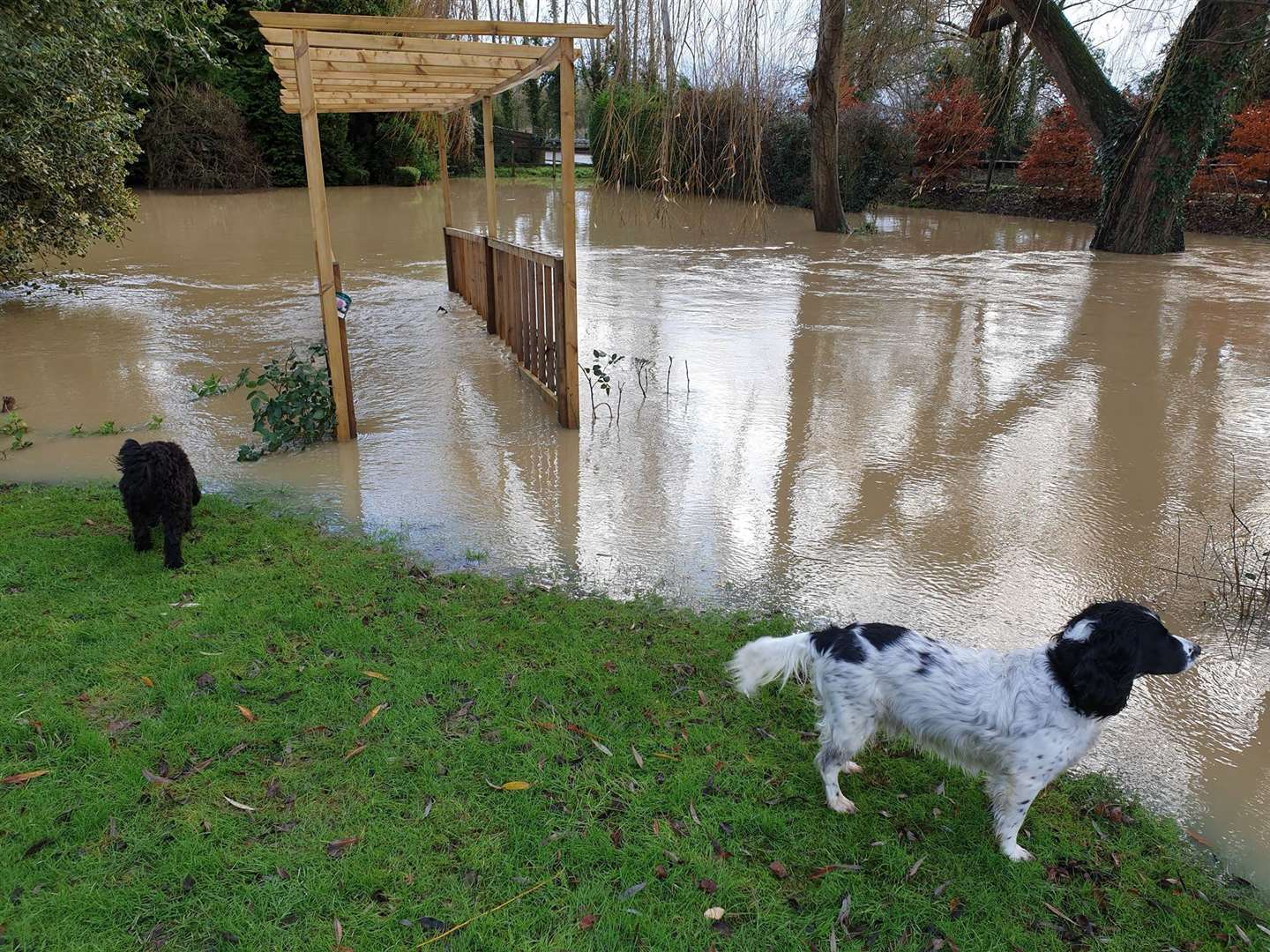 Flooding in Marden. Picture: Claire Dominic