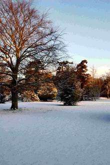 Quex Gardens, Birchington, are covered in a blanket of snow