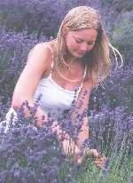 Caroline Alexander harvests the lavender