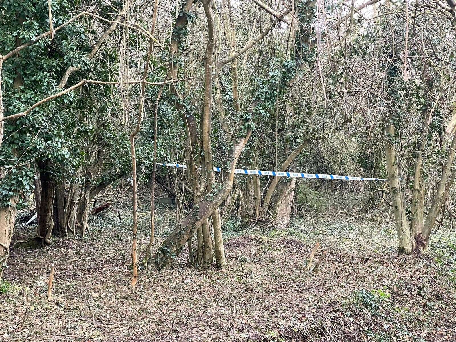 Police cordoned off an area of woodland yesterday. Picture: UKNIP