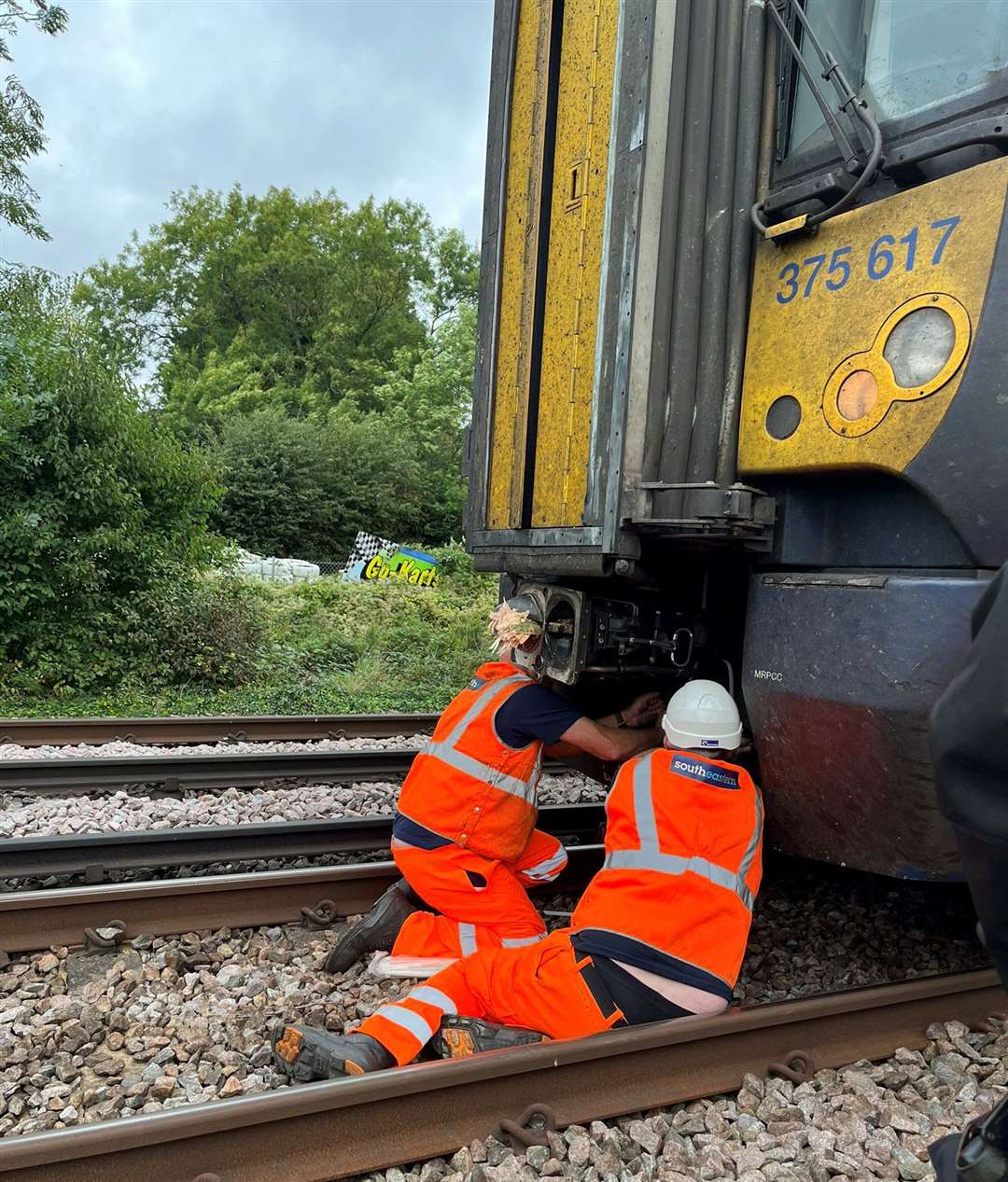 Network Rail engineers assessing the damage caused by the fallen tree. Picture: British Transport Police