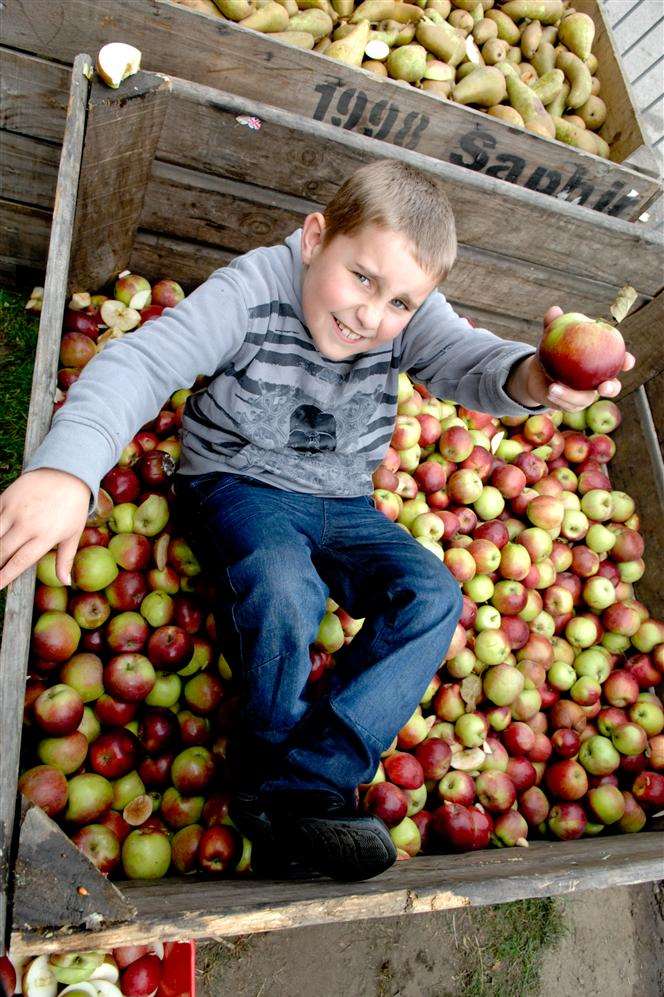 Eight year old William Bayliss at last year's Apple and Cider Fayre